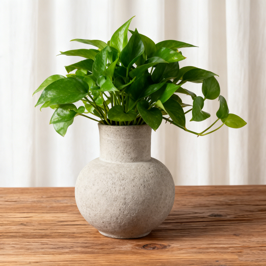 Natural Ceramic Decor Pot