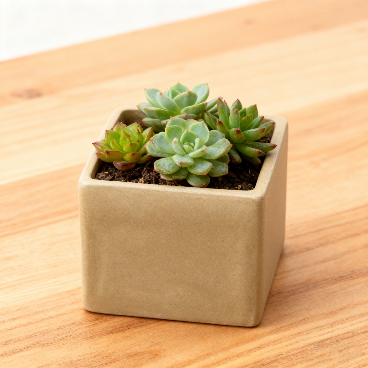 Square Shaped Ceramic Decor Pot