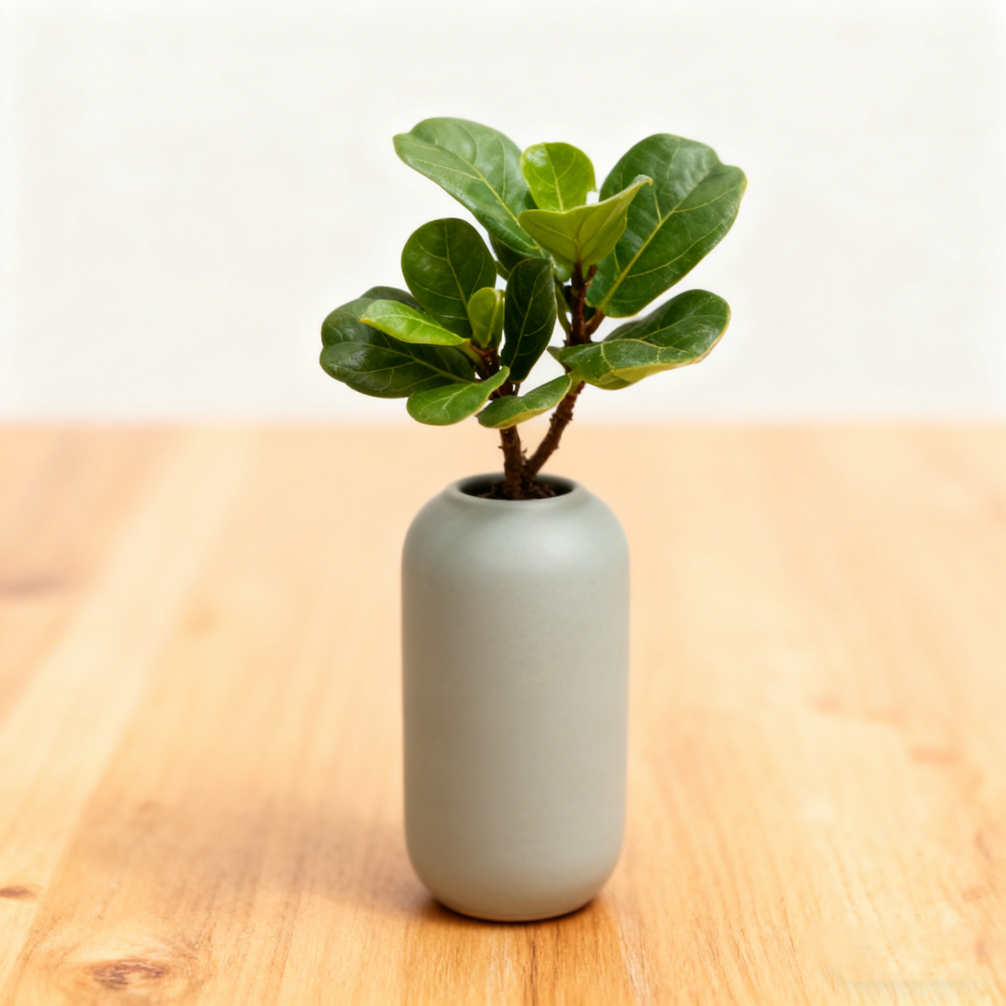 Sleek Cylindrical Ceramic Decor Vase