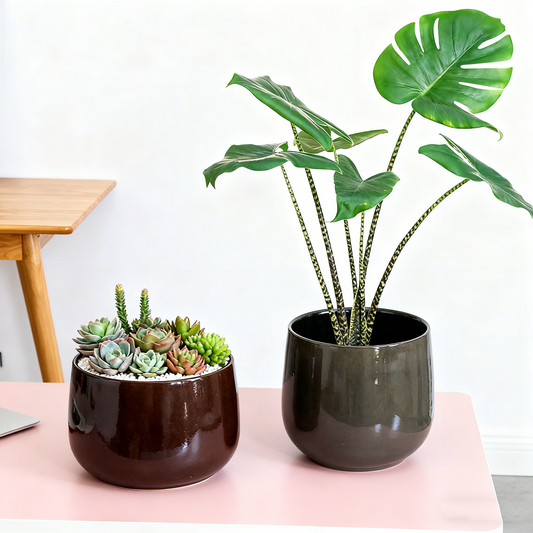 Minimalist Dark Ceramic Decor Vase