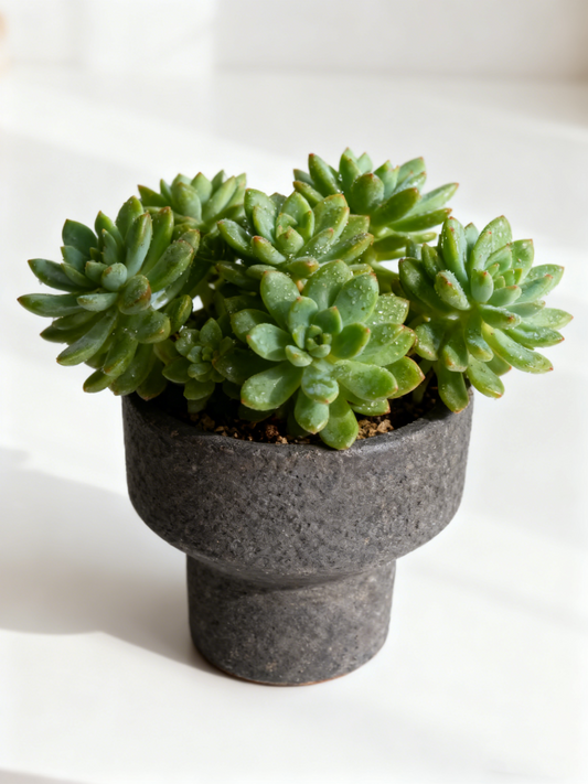 Elegant Tapered Ceramic Decor Pot