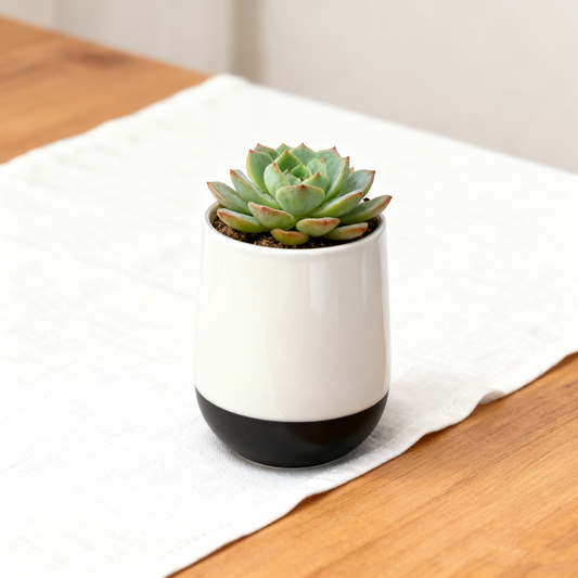 Minimalist Two Tone Deco Vase