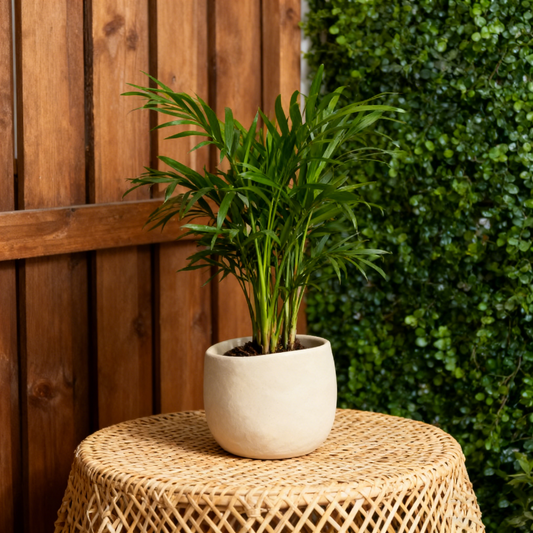 Asymmetric Textured Ceramic Decor Pot