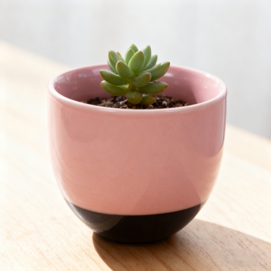 Modern Pink & Black Contrast Deco Vase